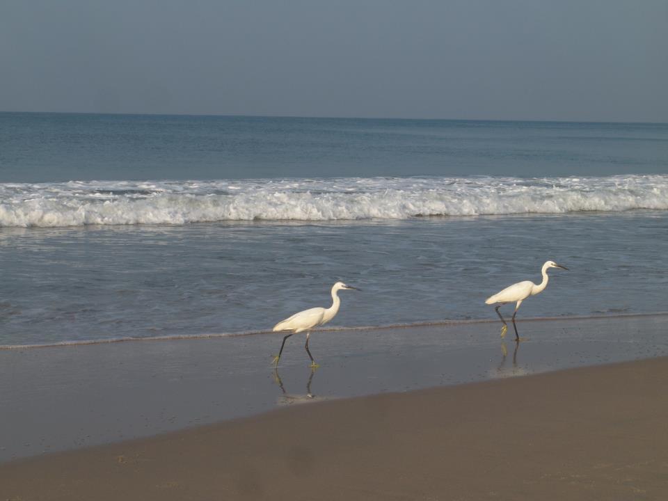 Oceanic Beach Residency Varkala Ngoại thất bức ảnh